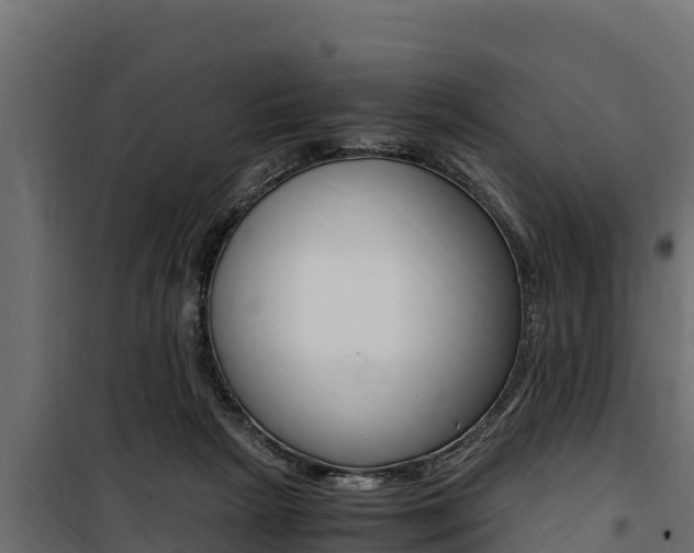 X0000100770265200806190940