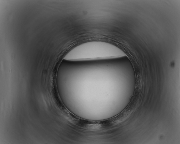X0000100770266200806190940
