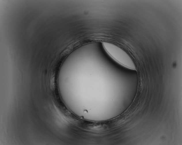 X0000100770267200806190940