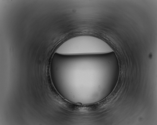 X0000100770268200806190940