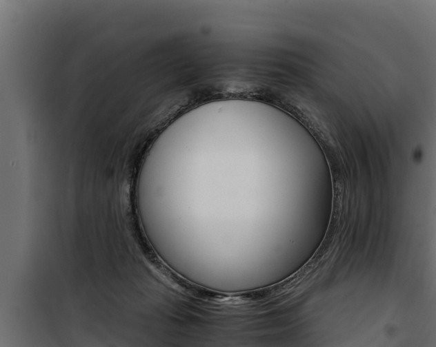 X0000100770269200806190940