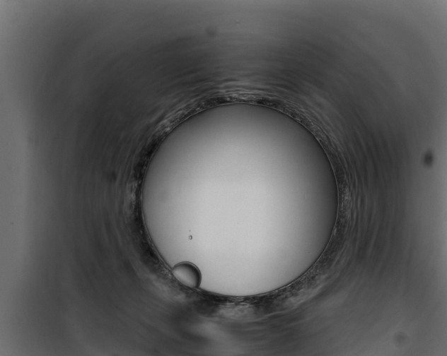 X0000100770271200806190940