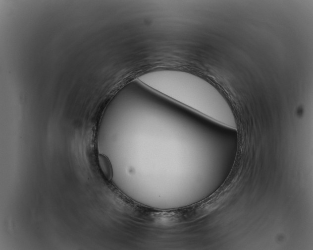 X0000100770273200806190940