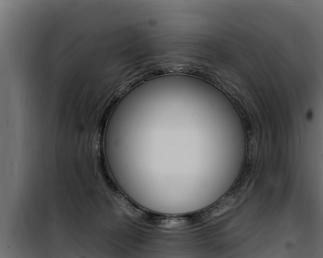 X0000100770274200806190940