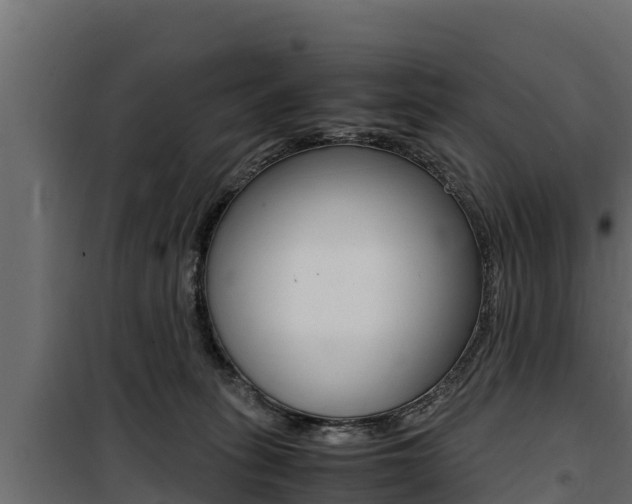 X0000100770275200806190940
