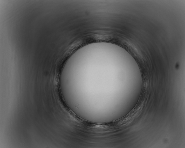 X0000100770277200806190940