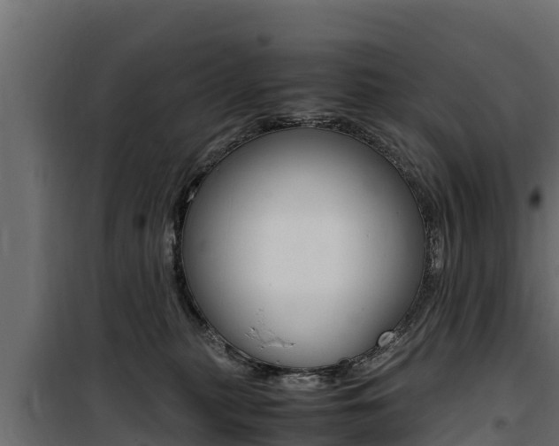 X0000100770279200806190940