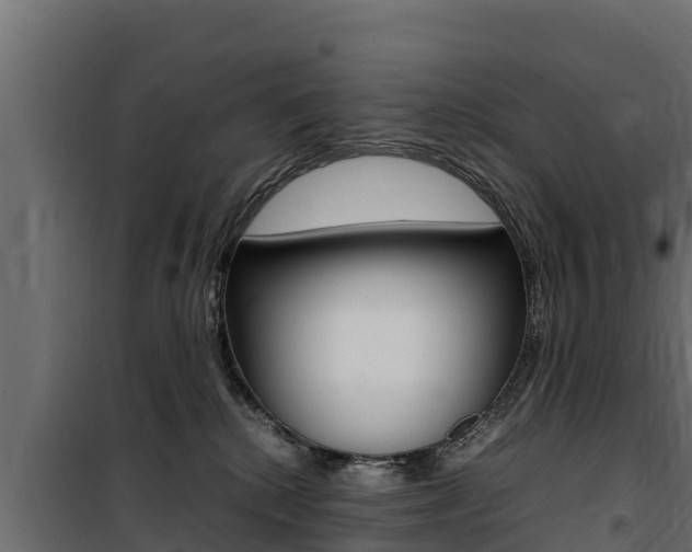 X0000100770280200806190940