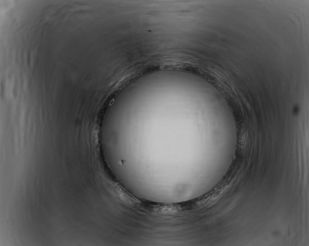 X0000100770282200806190940
