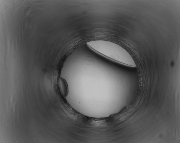 X0000100770283200806190940