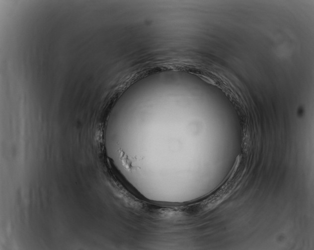 X0000100770284200806190940