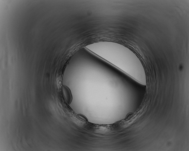 X0000100770285200806190940