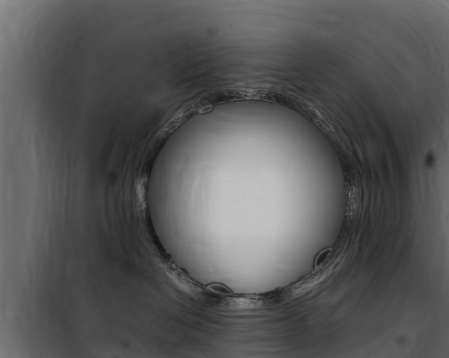 X0000100770286200806190940
