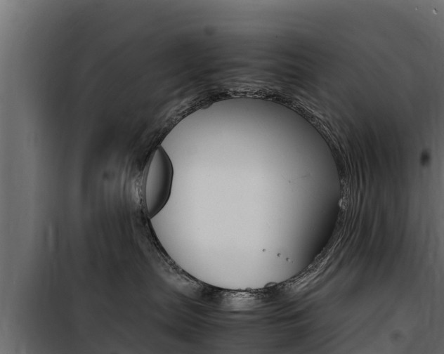X0000100770287200806190940