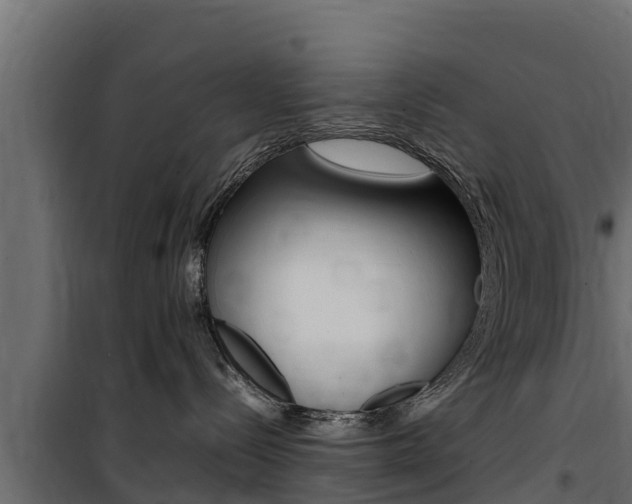 X0000100770288200806190940