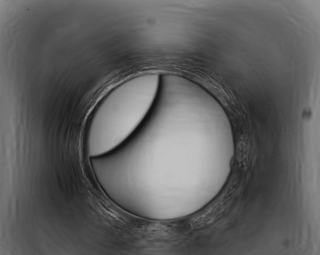 X0000100770290200806190939