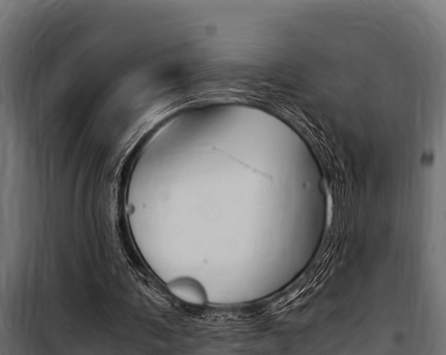 X0000100770291200806190939