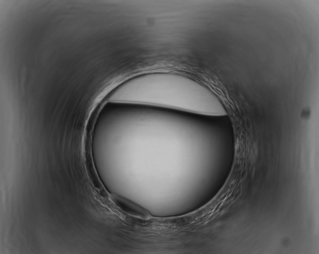 X0000100770292200806190939