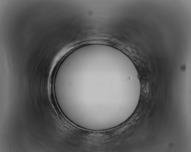 X0000100770294200806190939
