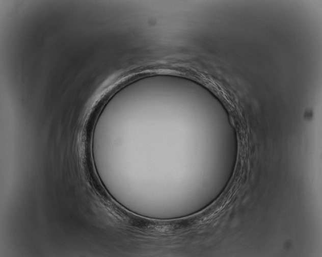 X0000100770295200806190939