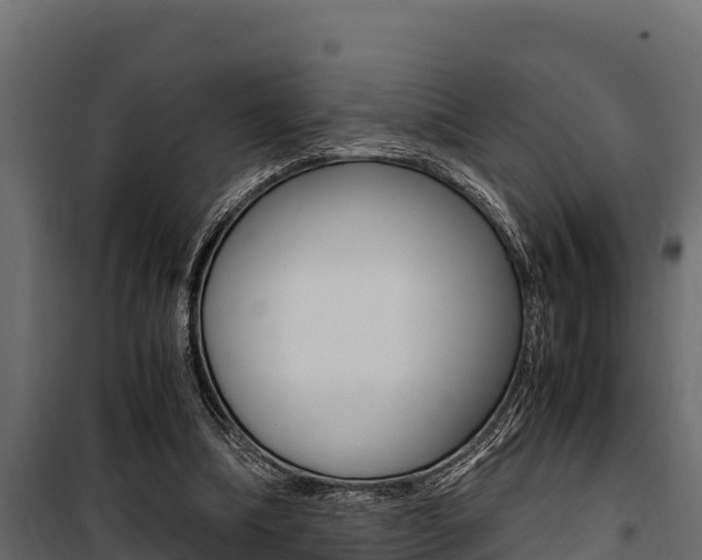 X0000100770298200806190939