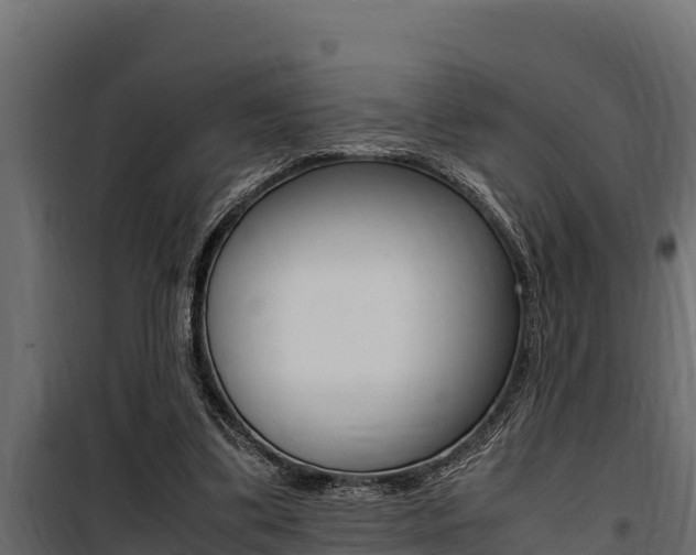 X0000100770299200806190939
