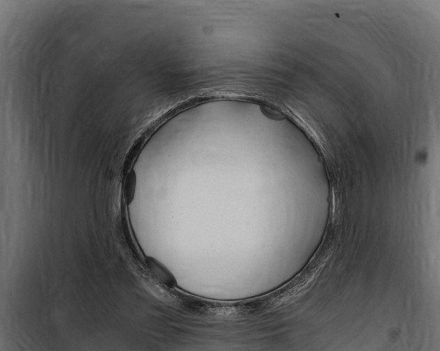 X0000100770301200806190939