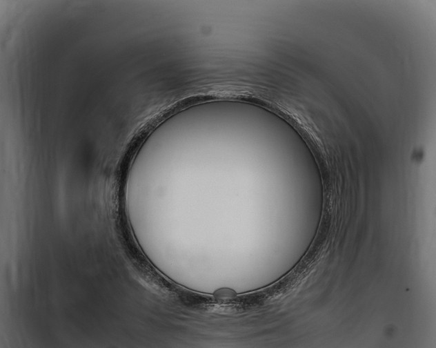 X0000100770303200806190939