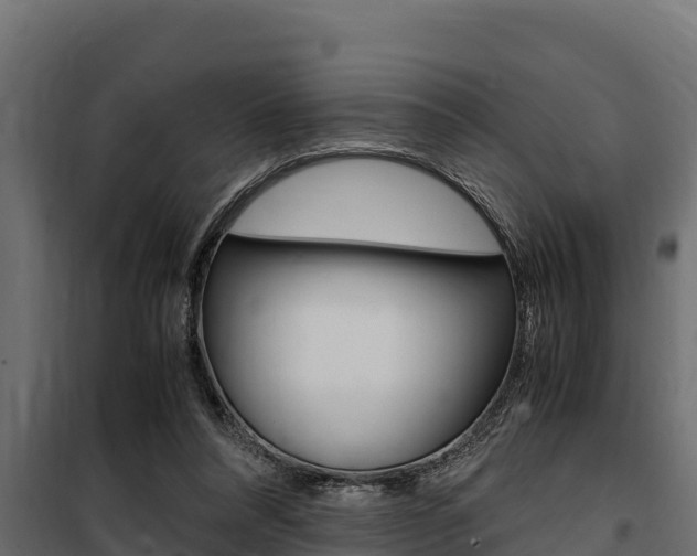 X0000100770304200806190939