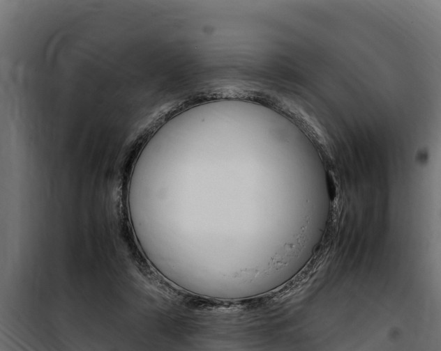 X0000100770306200806190939