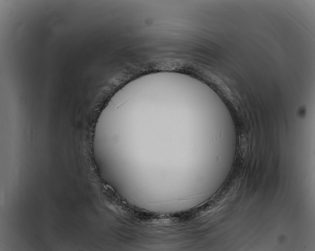 X0000100770307200806190939