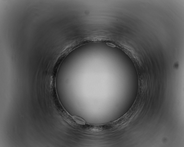 X0000100770308200806190939