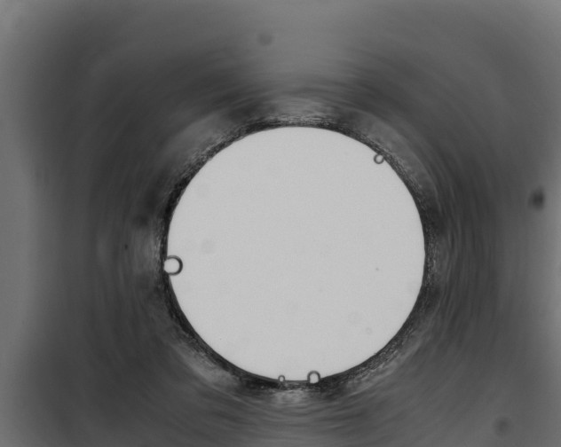 X0000100770309200806190939