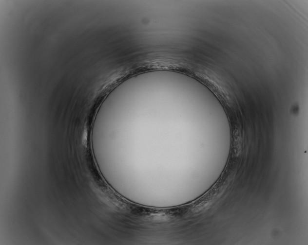 X0000100770310200806190939