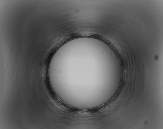 X0000100770311200806190939
