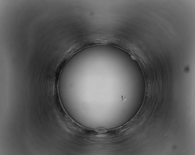 X0000100770312200806190939