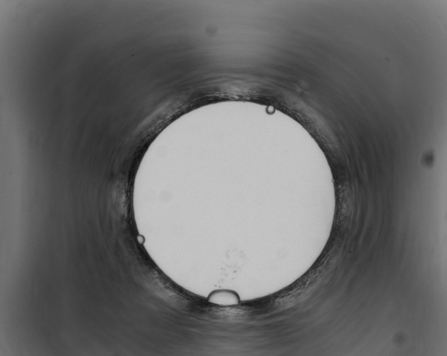 X0000100770313200806190939