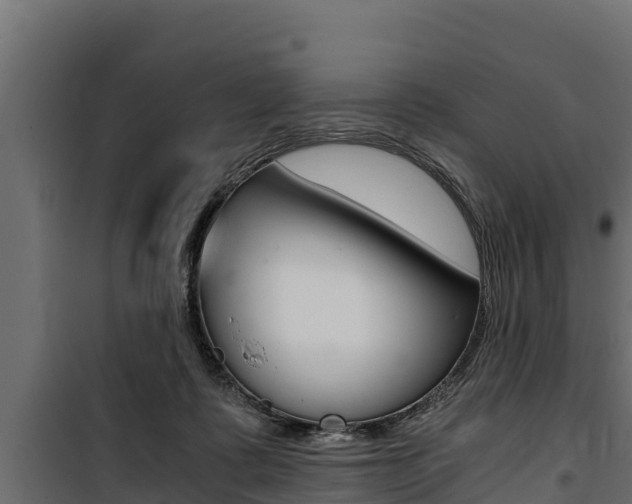X0000100770315200806190939