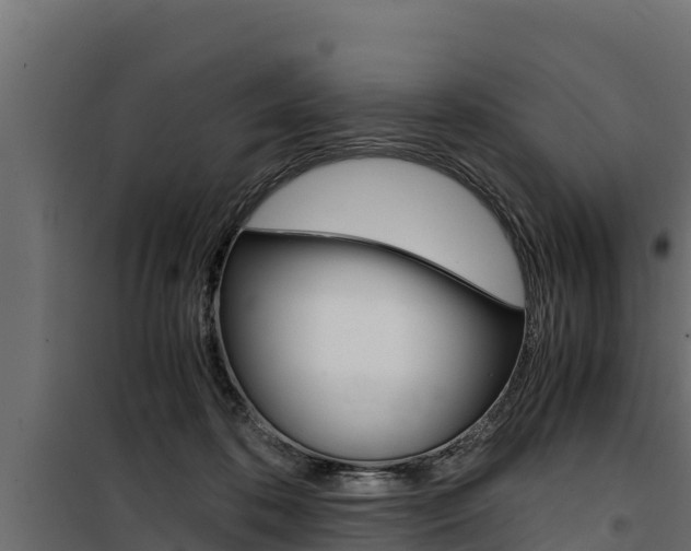 X0000100770316200806190939