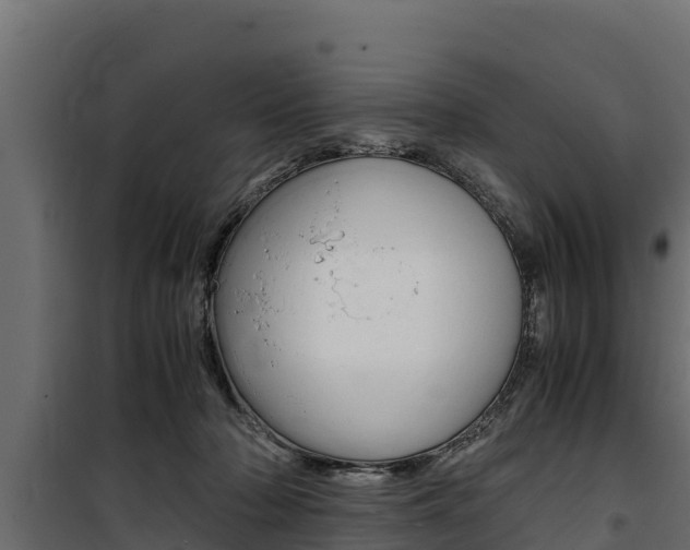X0000100770318200806190939