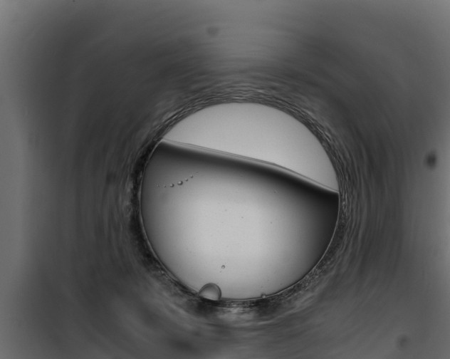 X0000100770319200806190939