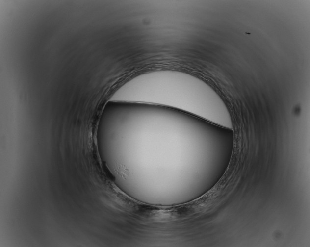 X0000100770320200806190939
