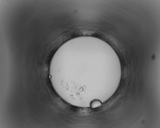 X0000100770321200806190939