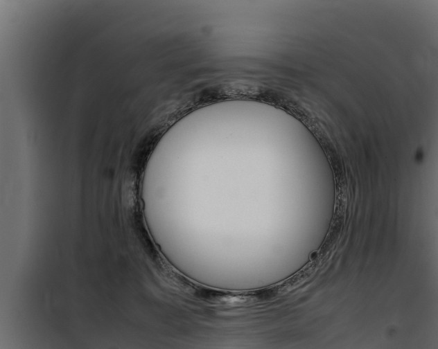 X0000100770323200806190939