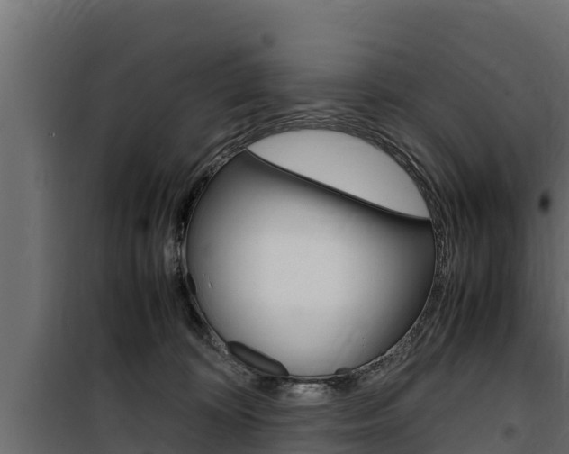 X0000100770324200806190939