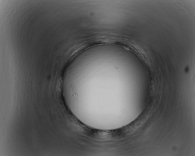 X0000100770325200806190939