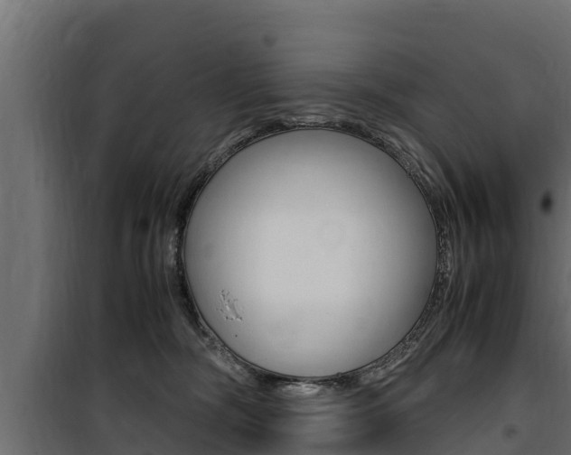 X0000100770326200806190939