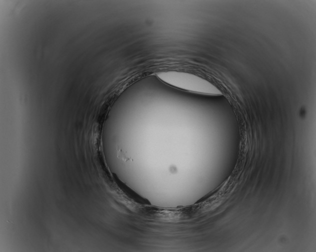 X0000100770328200806190939