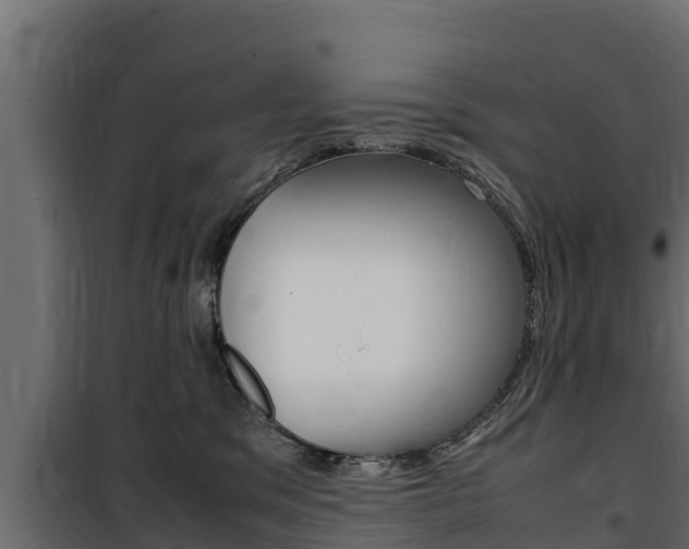 X0000100770329200806190939