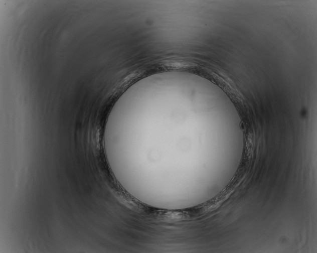 X0000100770330200806190939